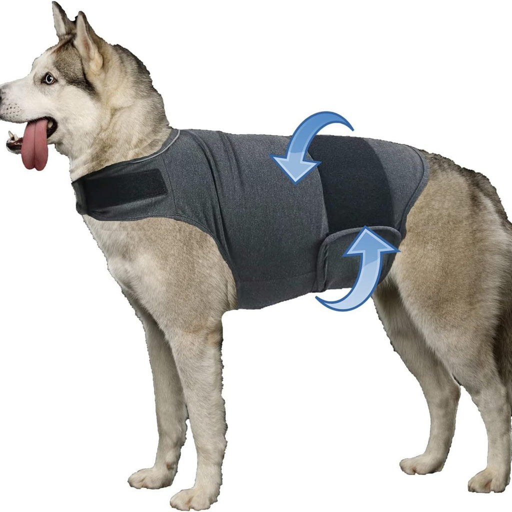 Dog Anxiety Relief Vest — dog wearing calming wrap, front view