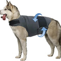 Dog Anxiety Relief Vest — dog wearing calming wrap, front view