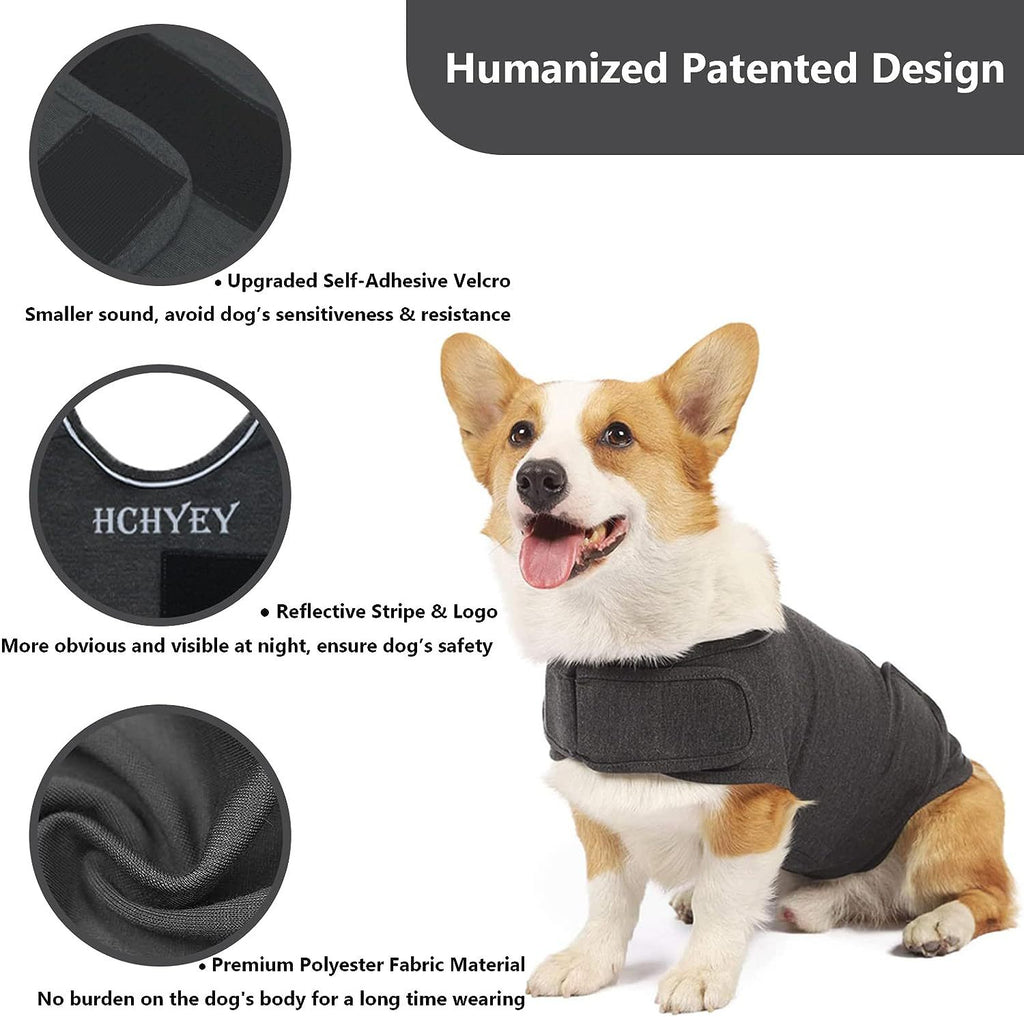 Dog Anxiety Relief Vest — large dog wearing L size vest, relaxed posture