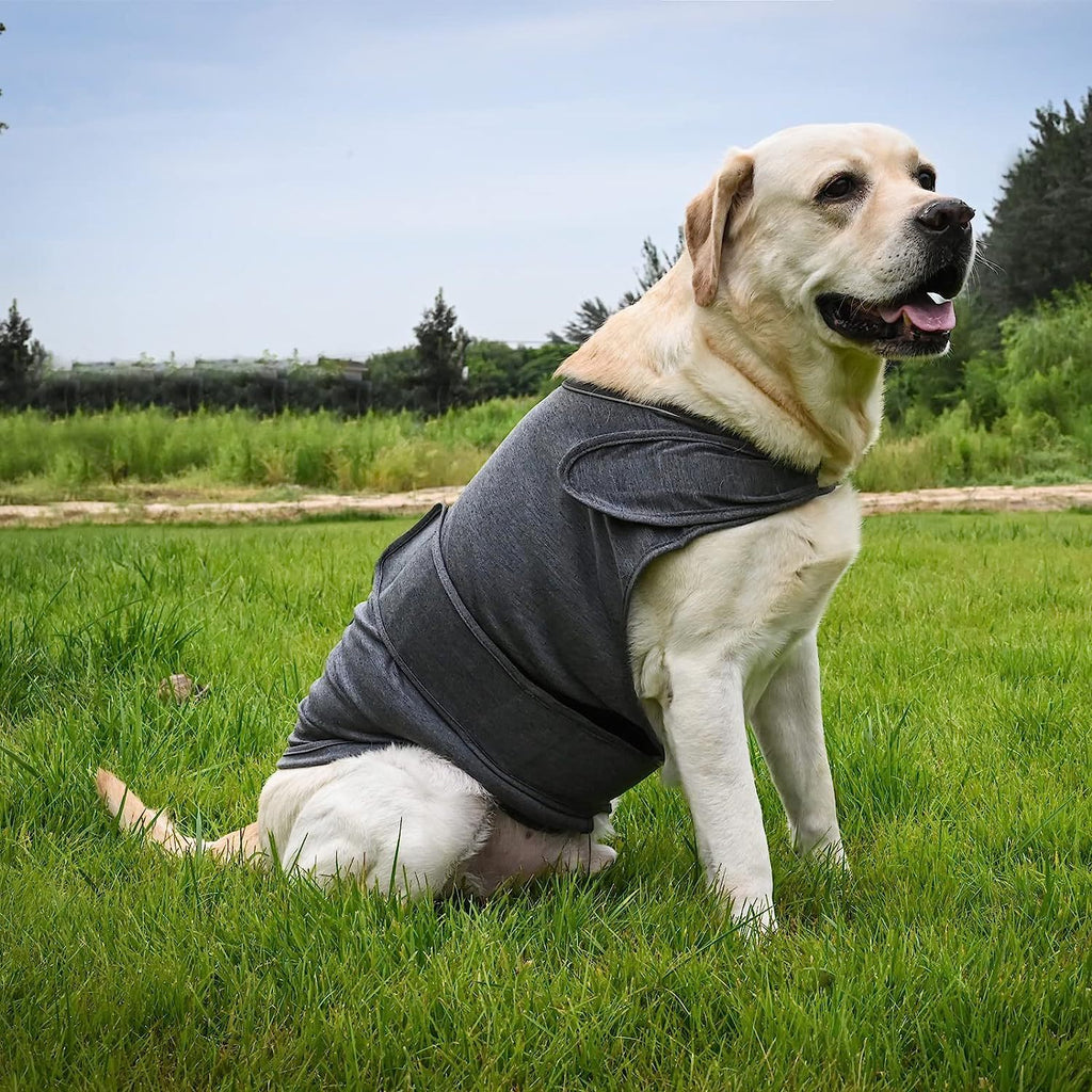Dog Anxiety Relief Vest — breathable fabric detail showing lightweight material