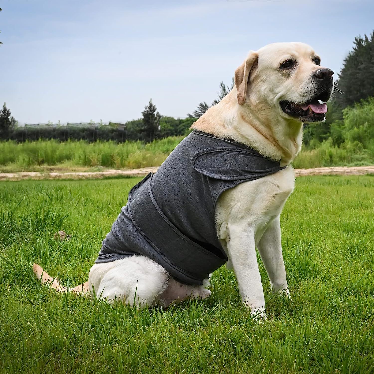 Dog Anxiety Relief Vest — breathable fabric detail showing lightweight material