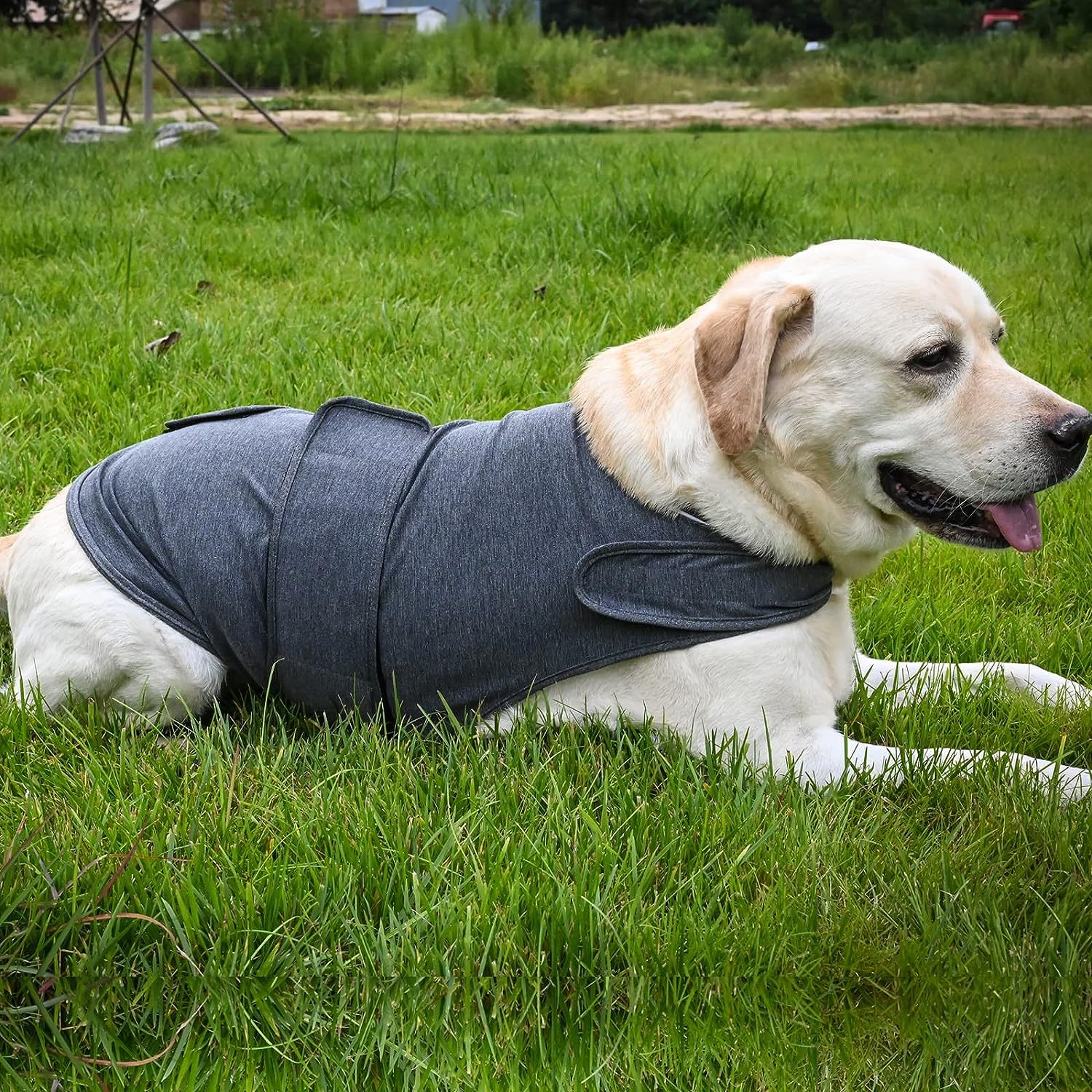 Dog Anxiety Relief Vest — velcro strap close-up showing easy fastening